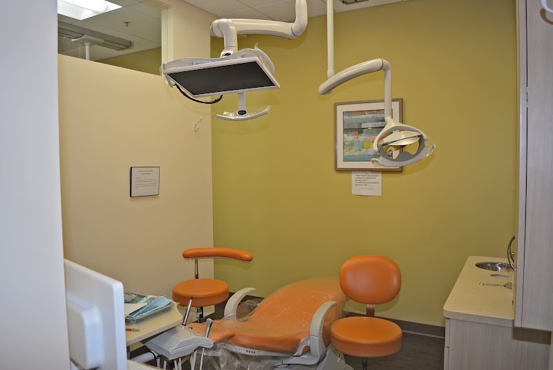 Bay Smile Dental photo 2