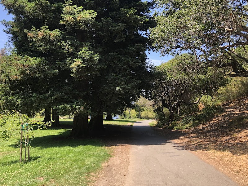 Big Rock Picnic Area photo 4