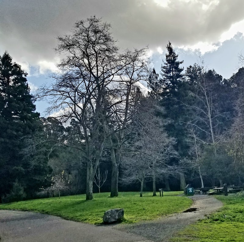 Big Rock Picnic Area photo 3