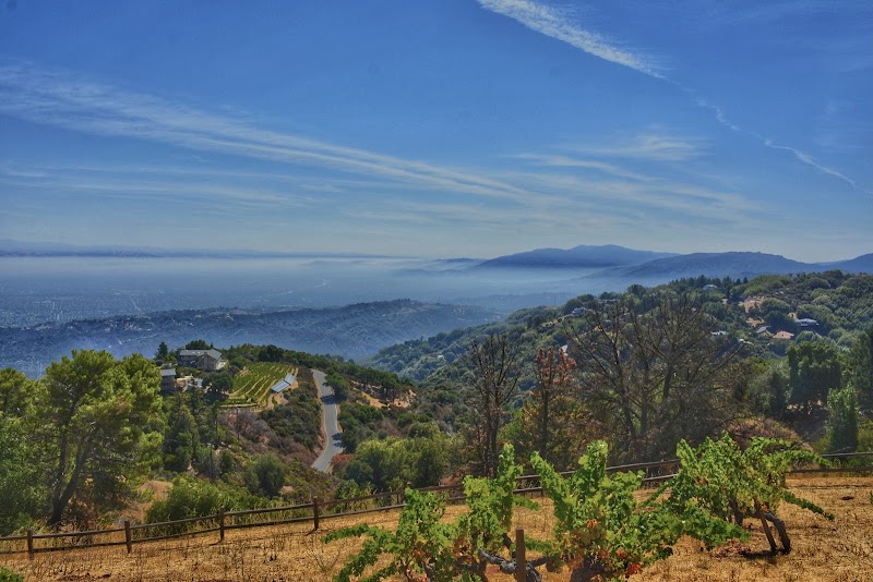 Ridge Vineyards photo 3