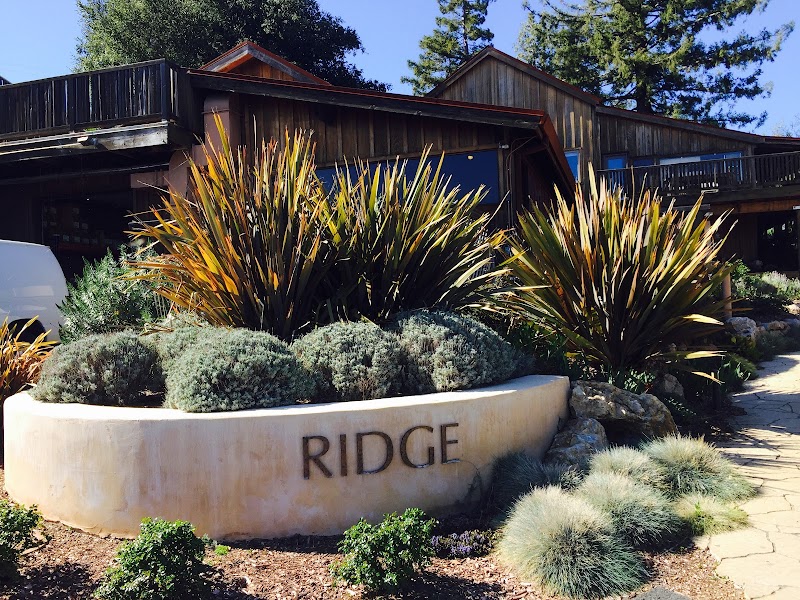 Ridge Vineyards photo 4
