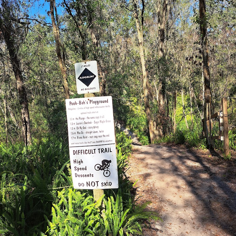 Balm Boyette Scrub Nature Preserve photo 2