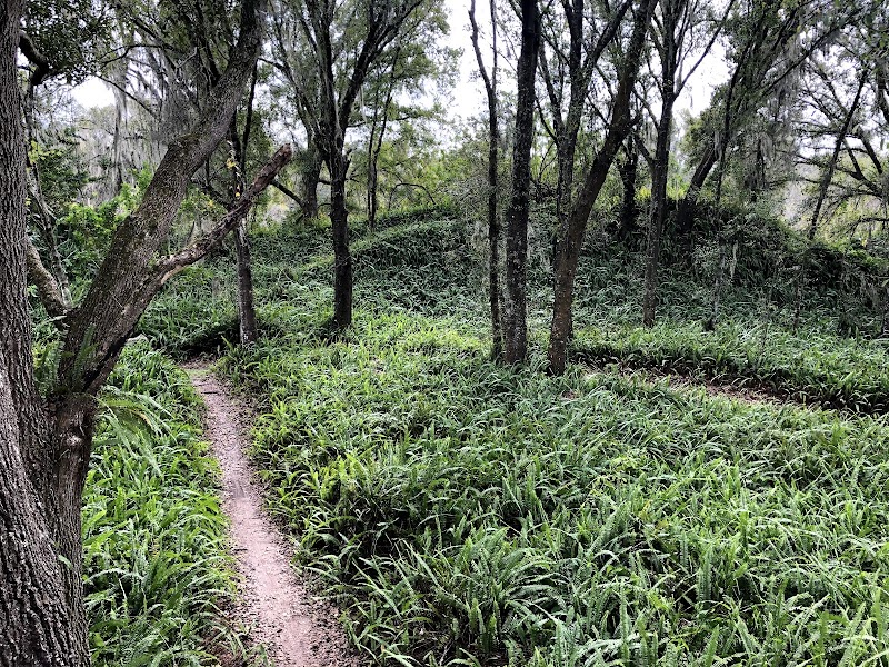 Balm Boyette Scrub Nature Preserve photo 3
