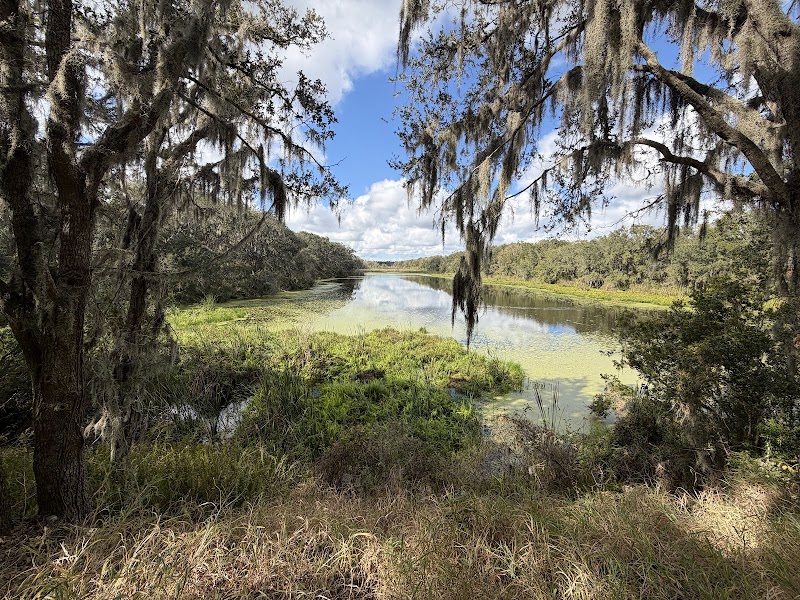 Balm Boyette Scrub Nature Preserve photo 4