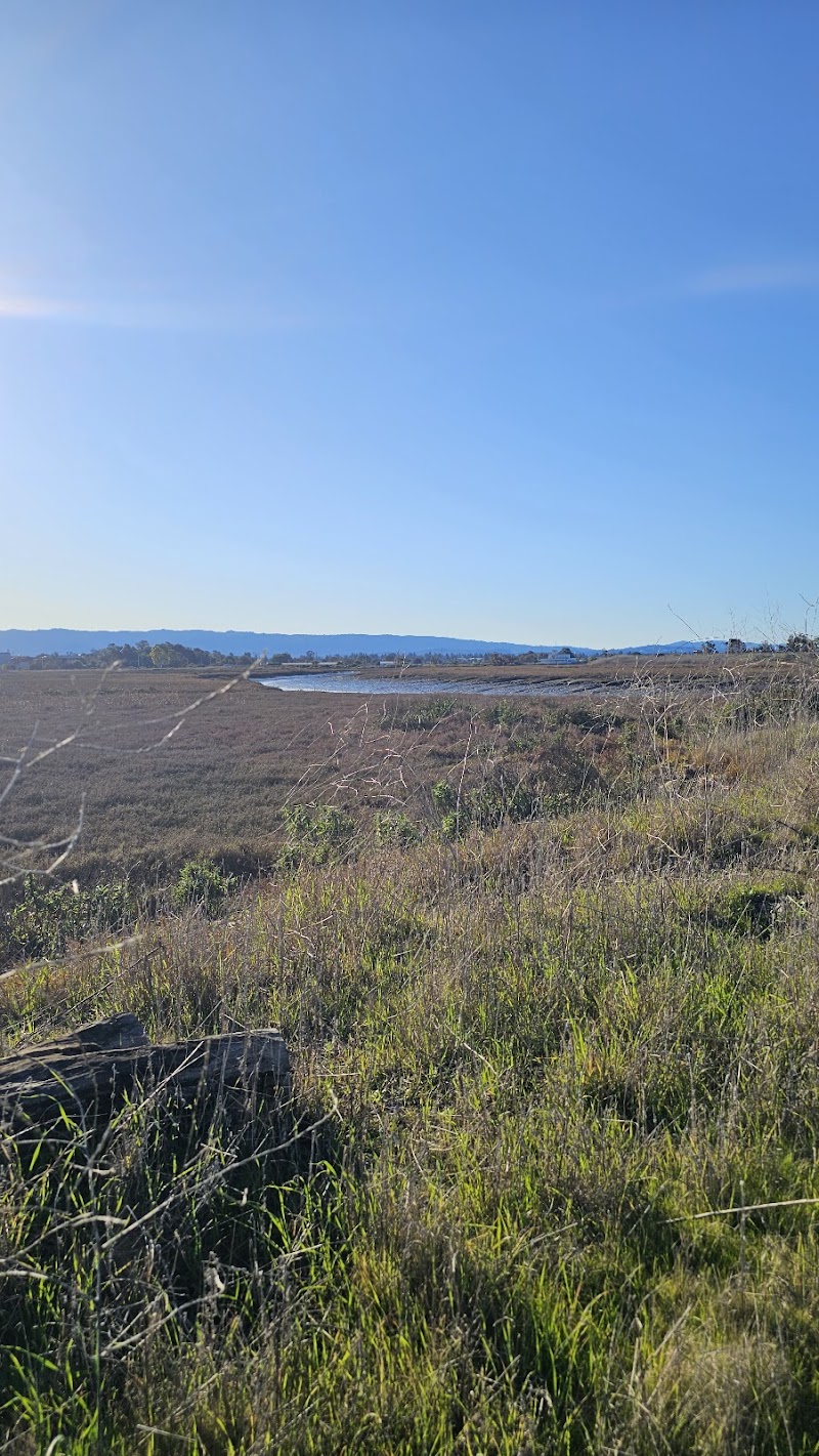 The pole field photo 4