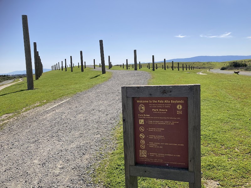 Photo of The pole field