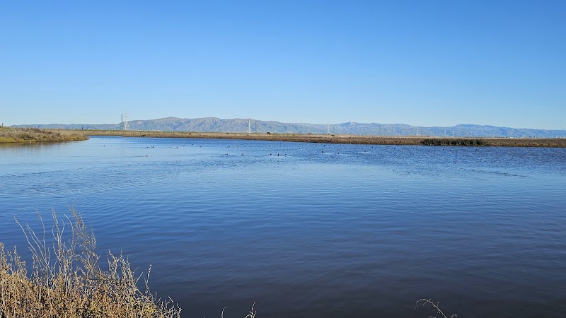 The pole field photo 2