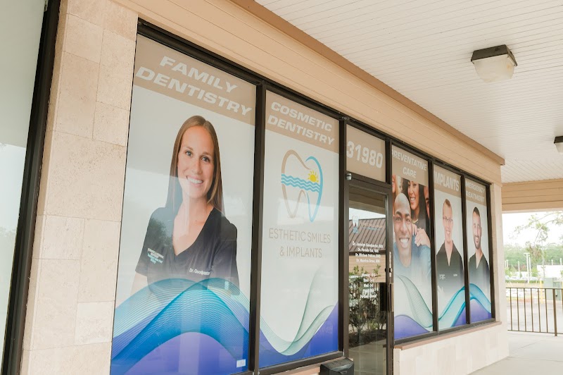 Still Waters Dentistry Palm Harbor photo 5