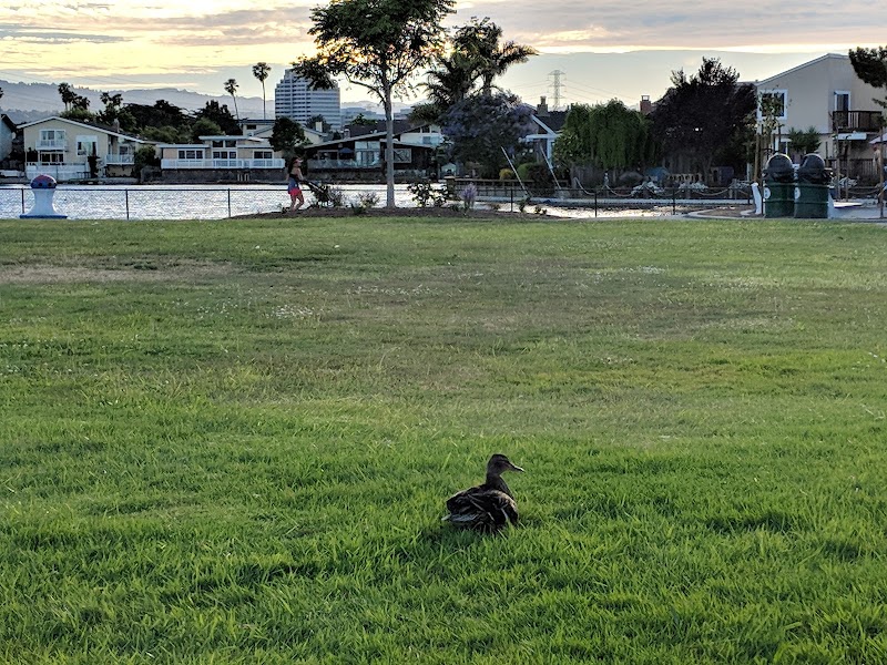 Pompano Park photo 2