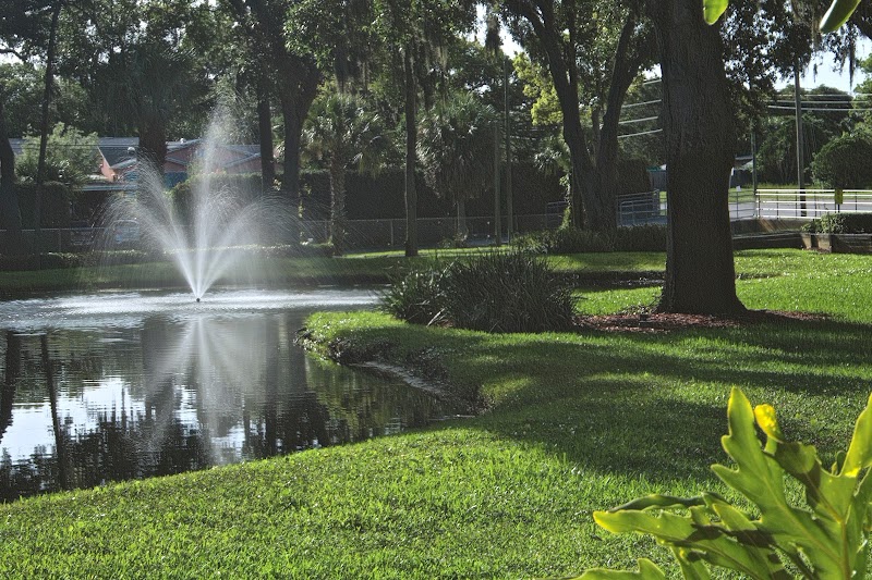 Florin|Roebig Personal Injury Trial Attorneys - Palm Harbor photo 4