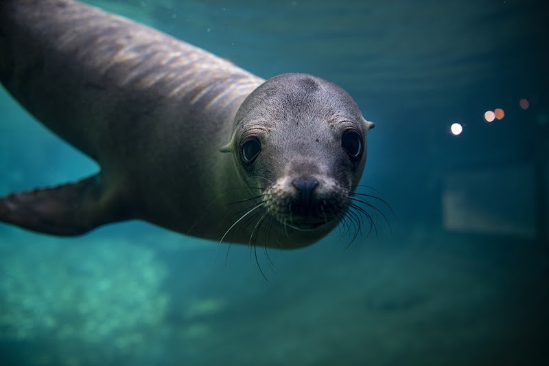 Photo of Point Defiance Zoo & Aquarium