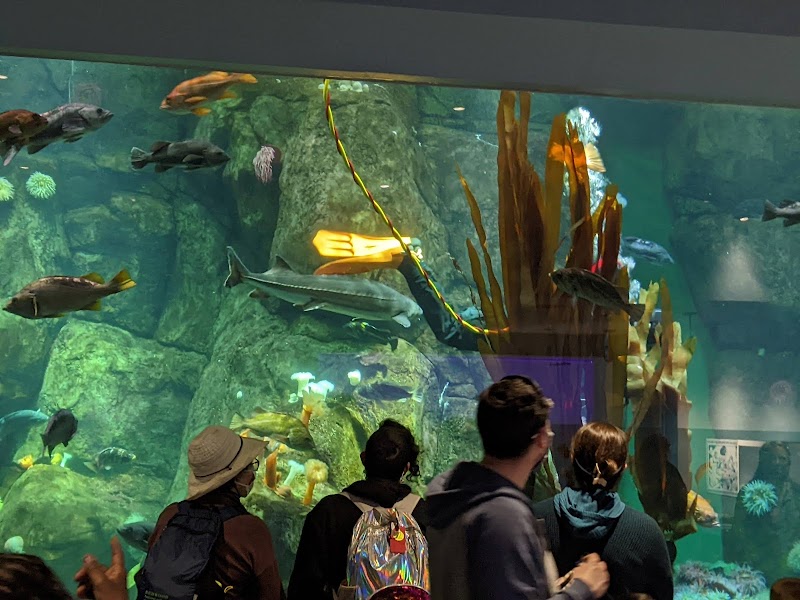 Point Defiance Zoo & Aquarium photo 2