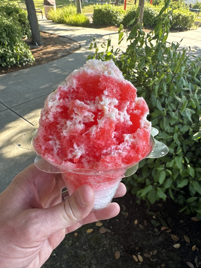 Sunny Snow Shave Ice photo 5