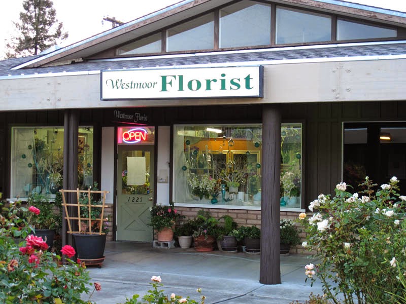 Westmoor Florist photo 4