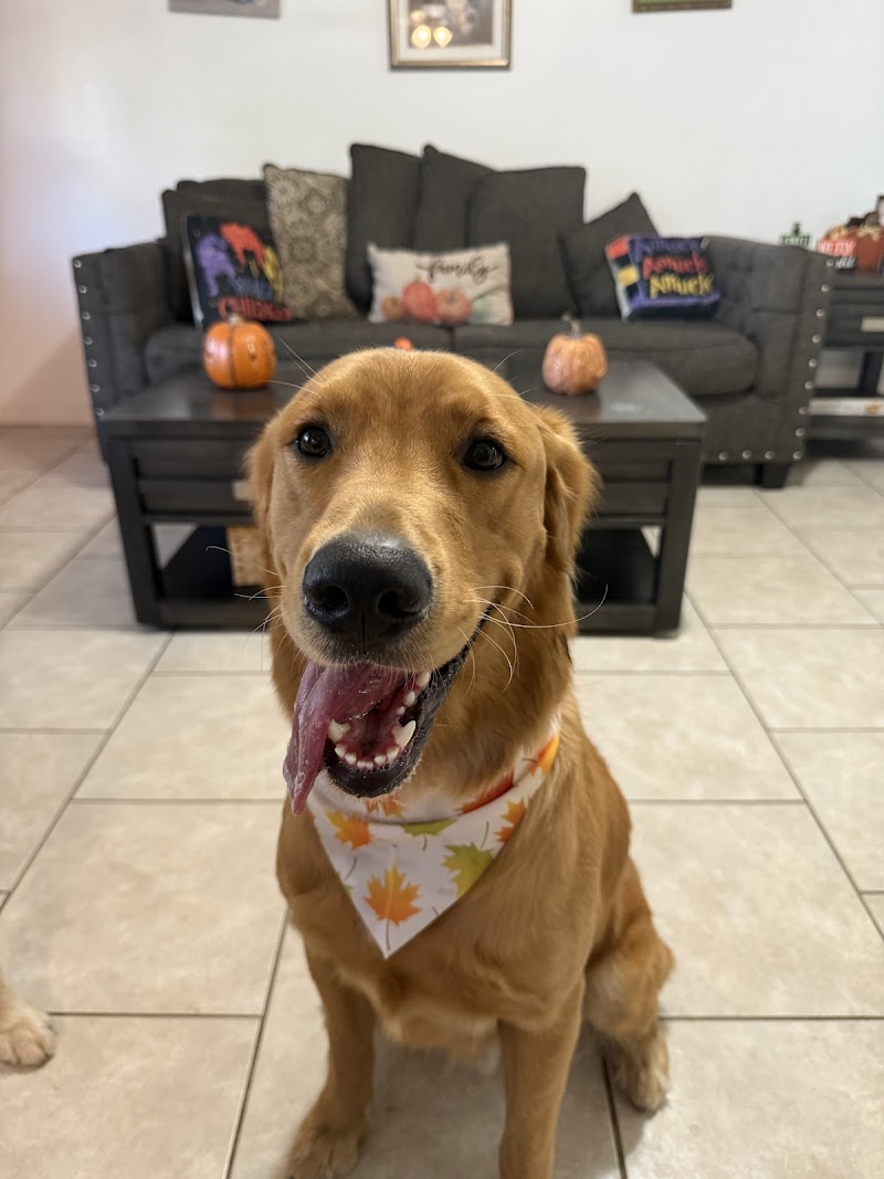 Photo of Woof Gang Bakery & Grooming Belleair Bluffs