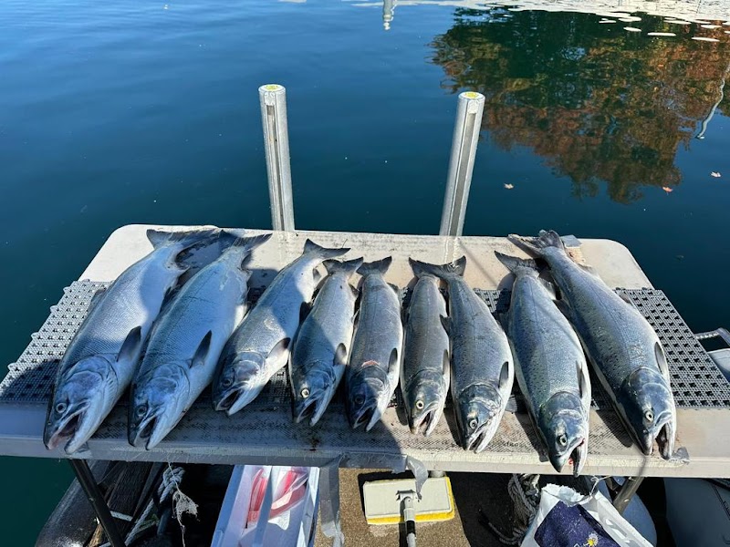 Cut Plug Charters-Seattle Salmon Fishing photo 3