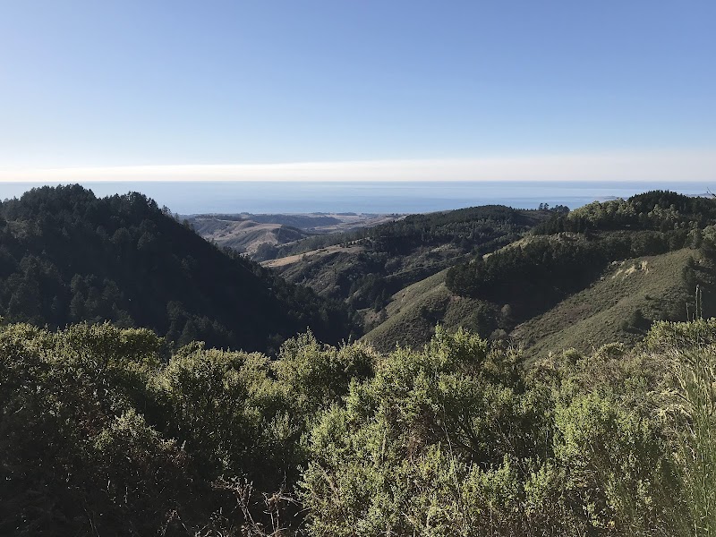 Purisima Creek Redwoods Roadside Parking photo 2