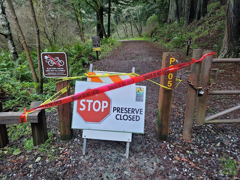 Purisima Creek Redwoods Roadside Parking photo 4