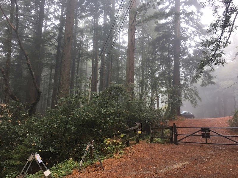 Purisima Creek Redwoods Roadside Parking photo 5