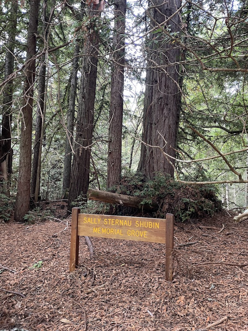 Photo of Purisima Creek Redwoods Roadside Parking