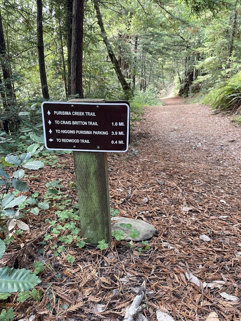 Purisima Creek Redwoods Roadside Parking photo 3