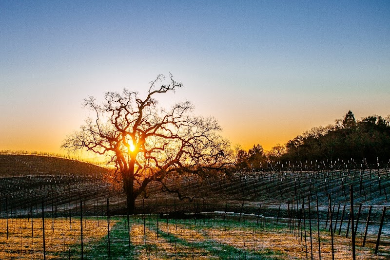 Photo of Healdsburg Chamber of Commerce