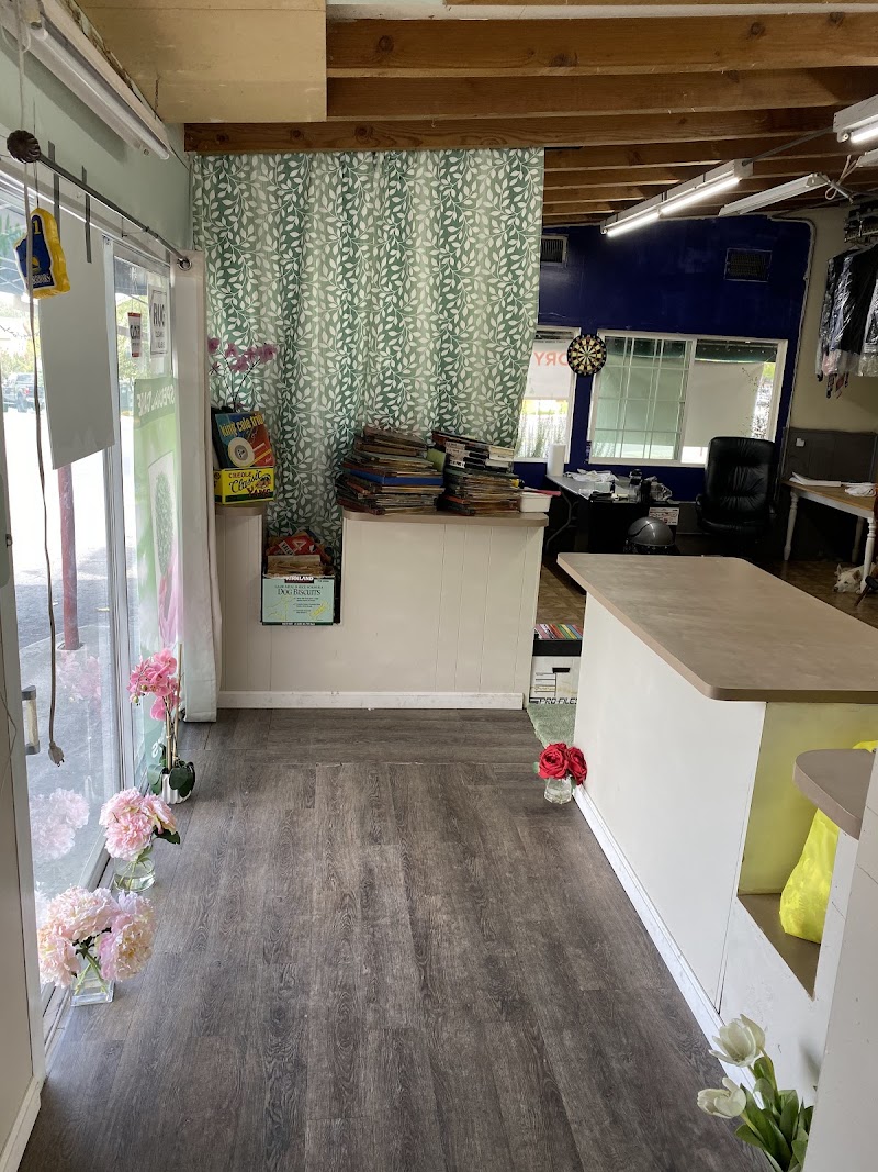 Photo of Dana’s Green Cleaners