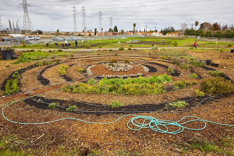 Family Harvest Farm, John Muir Land Trust photo 2