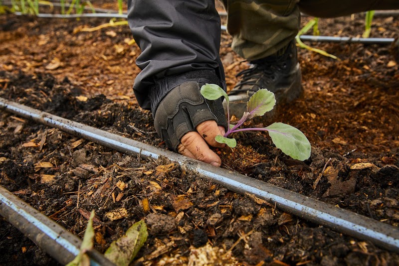 Family Harvest Farm, John Muir Land Trust photo 5