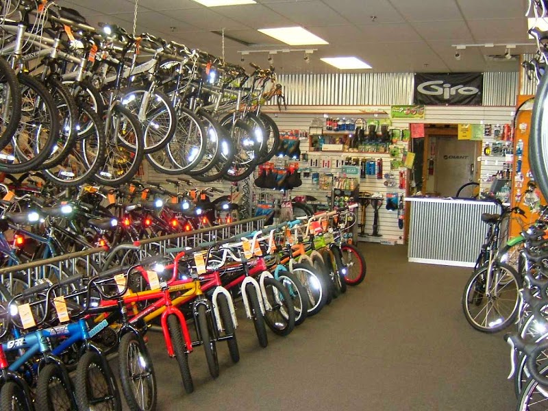 Bicycle Depot of Arizona photo 2
