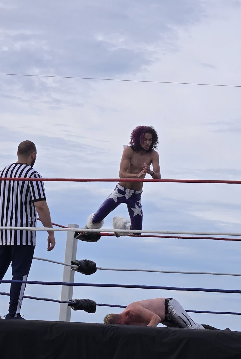 Fight The World Wrestling (FTW) World Wrestling Academy photo 3