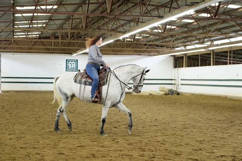 Photo of Hoofbeats Riding Academy