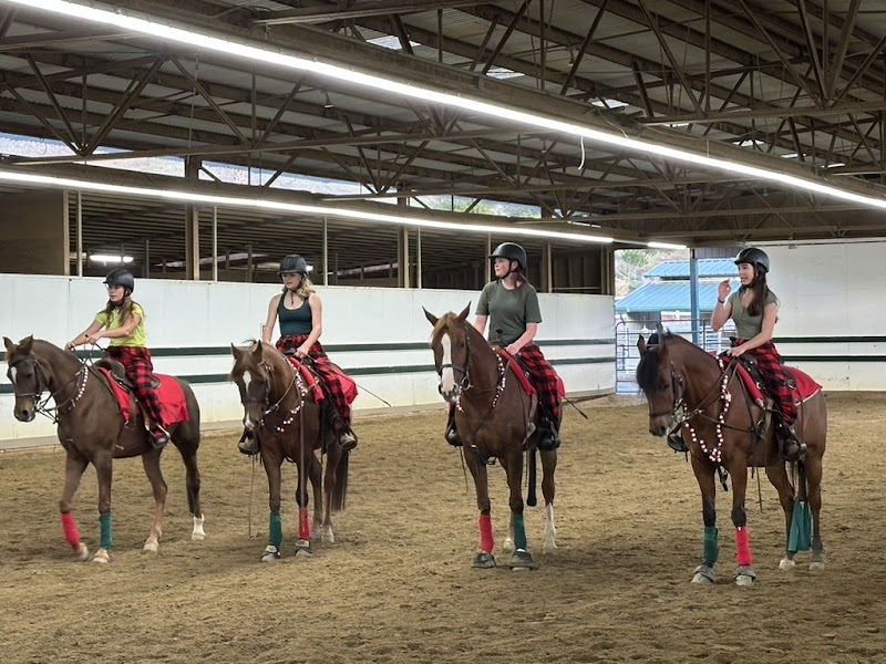 Hoofbeats Riding Academy photo 2