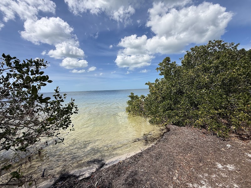 Key Vista Nature Park photo 4