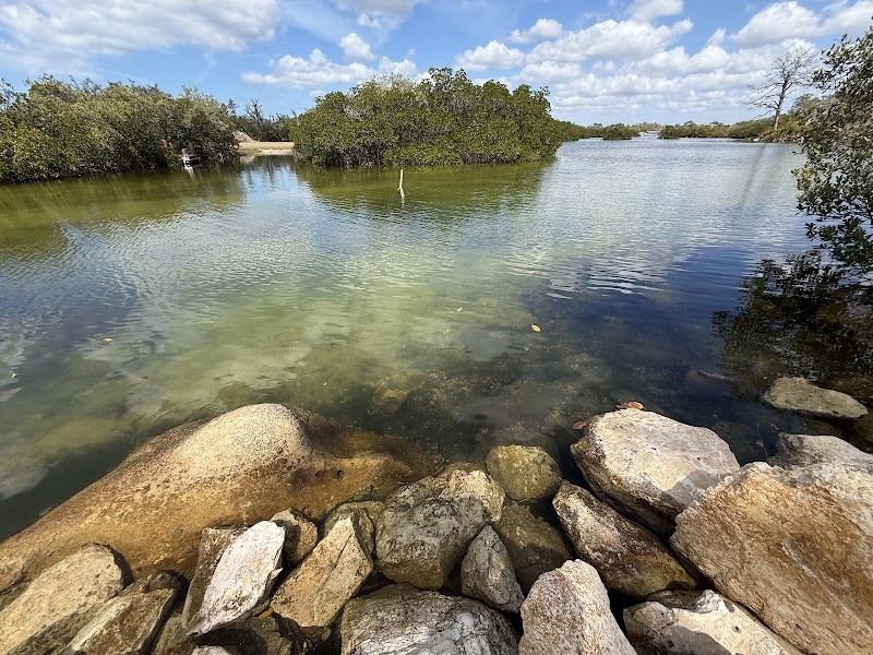Key Vista Nature Park photo 3