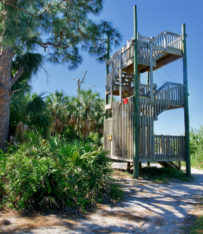 Key Vista Nature Park photo 2