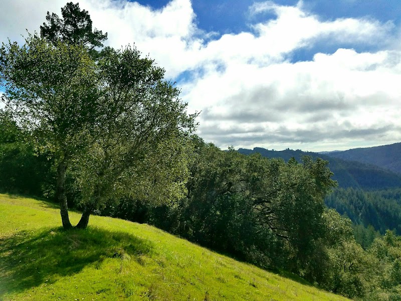 Wine Country to Coast Vacation Rentals photo 2