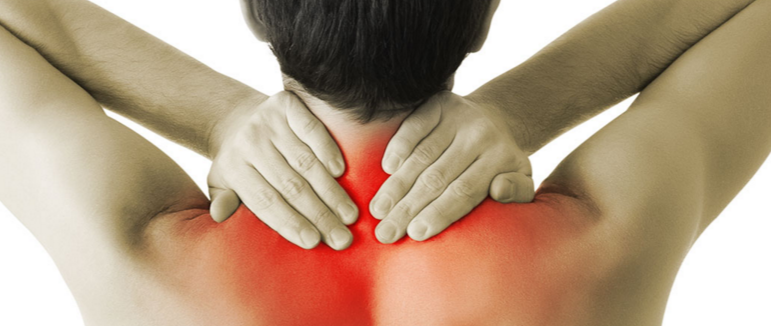 Photo of Brandon Chiropractic Associates