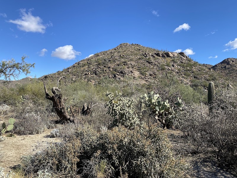 Wild Burro Trailhead photo 2