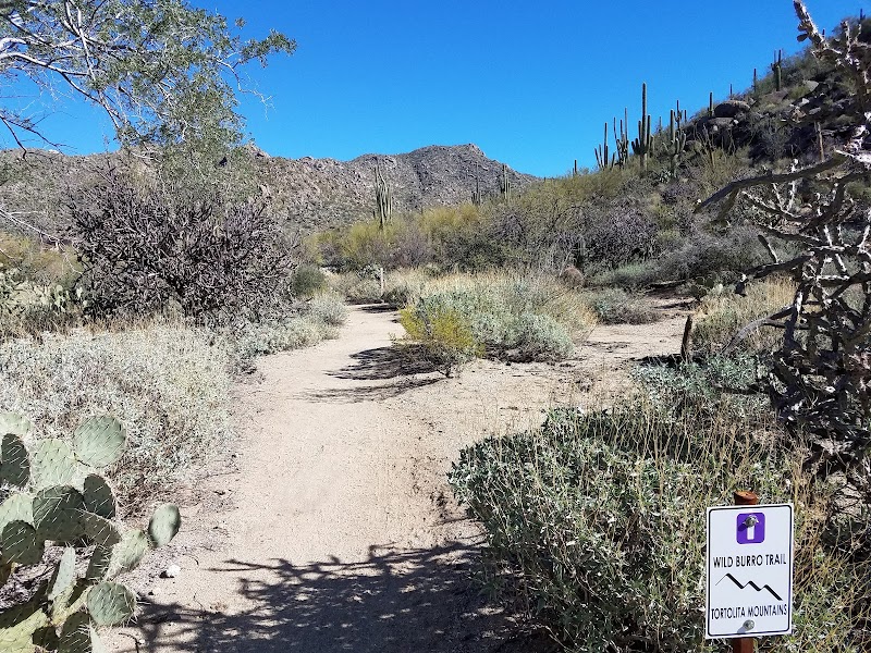 Photo of Wild Burro Trailhead