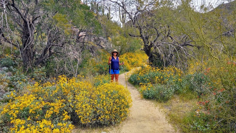 Wild Burro Trailhead photo 4