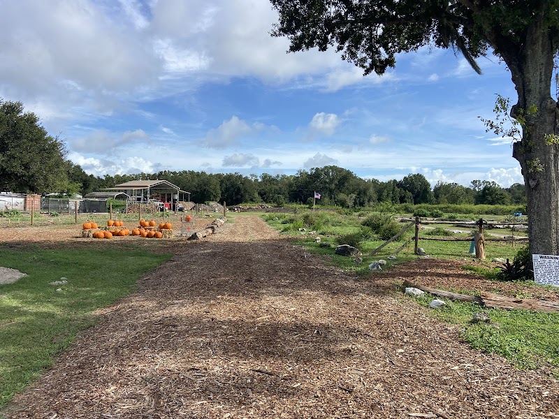 Photo of Woodland Farms