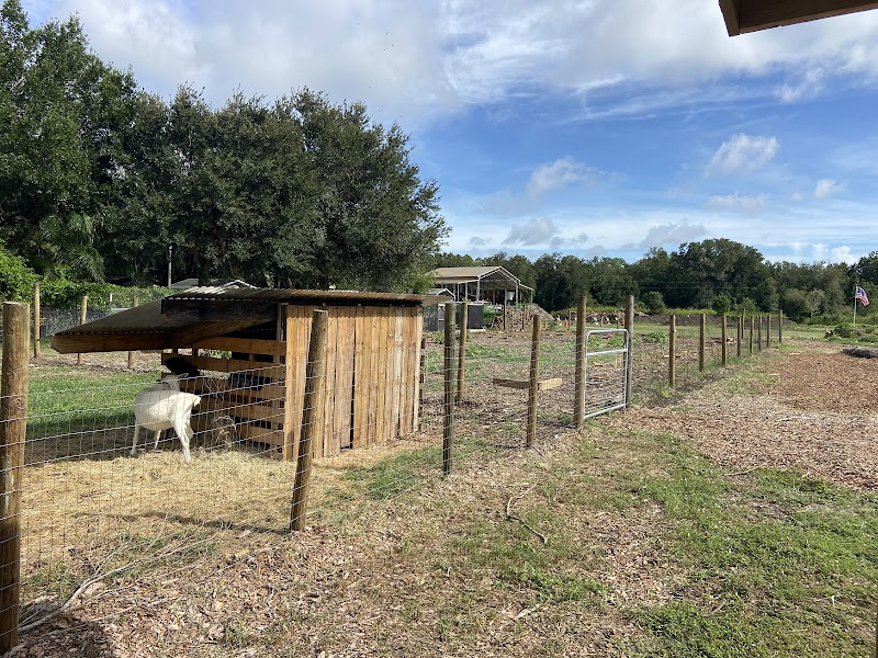 Woodland Farms photo 5