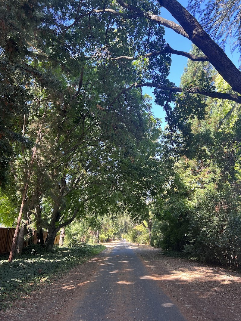 Iron Horse Trail - Alamo Trail Head photo 3