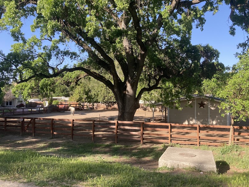 Photo of Iron Horse Trail - Alamo Trail Head
