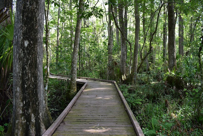 Flat Island Preserve photo 2