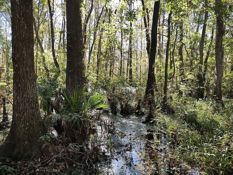 Flat Island Preserve photo 4