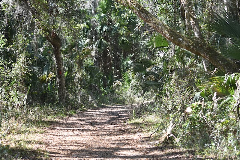 Flat Island Preserve photo 3