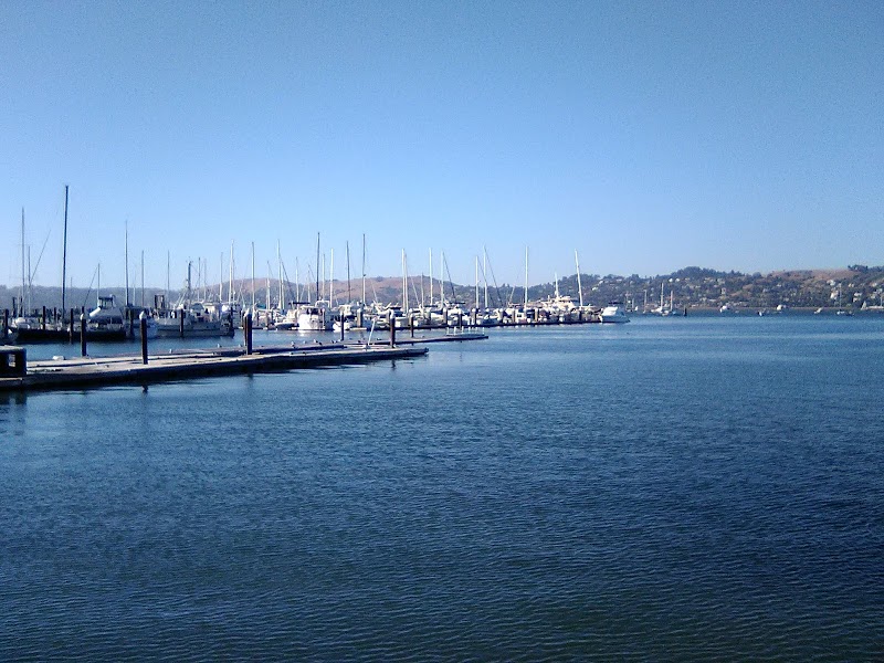 Sausalito Cruising Club photo 4