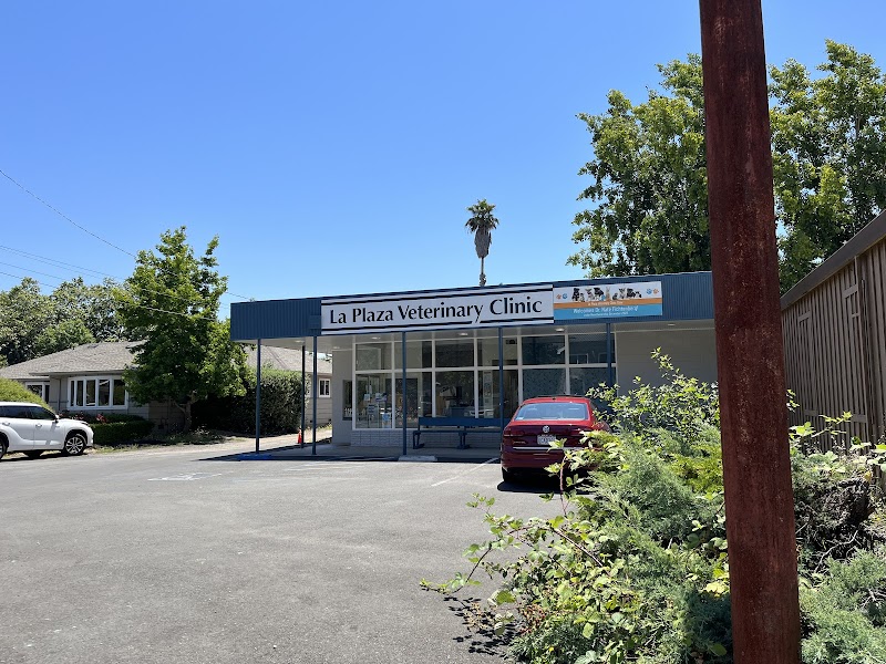 La Plaza Veterinary Clinic photo 2